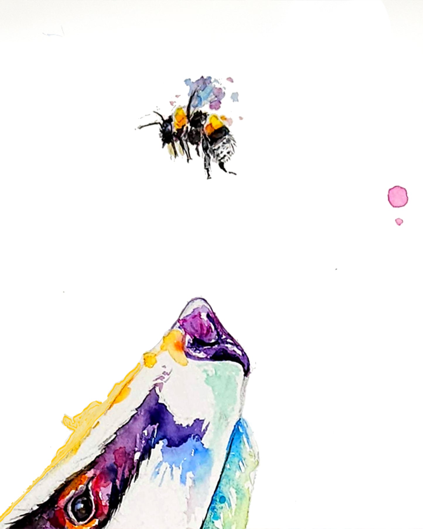 Bunter Dachs in Aquarell - Farbenfroher Kunstdruck - Dachs Danny