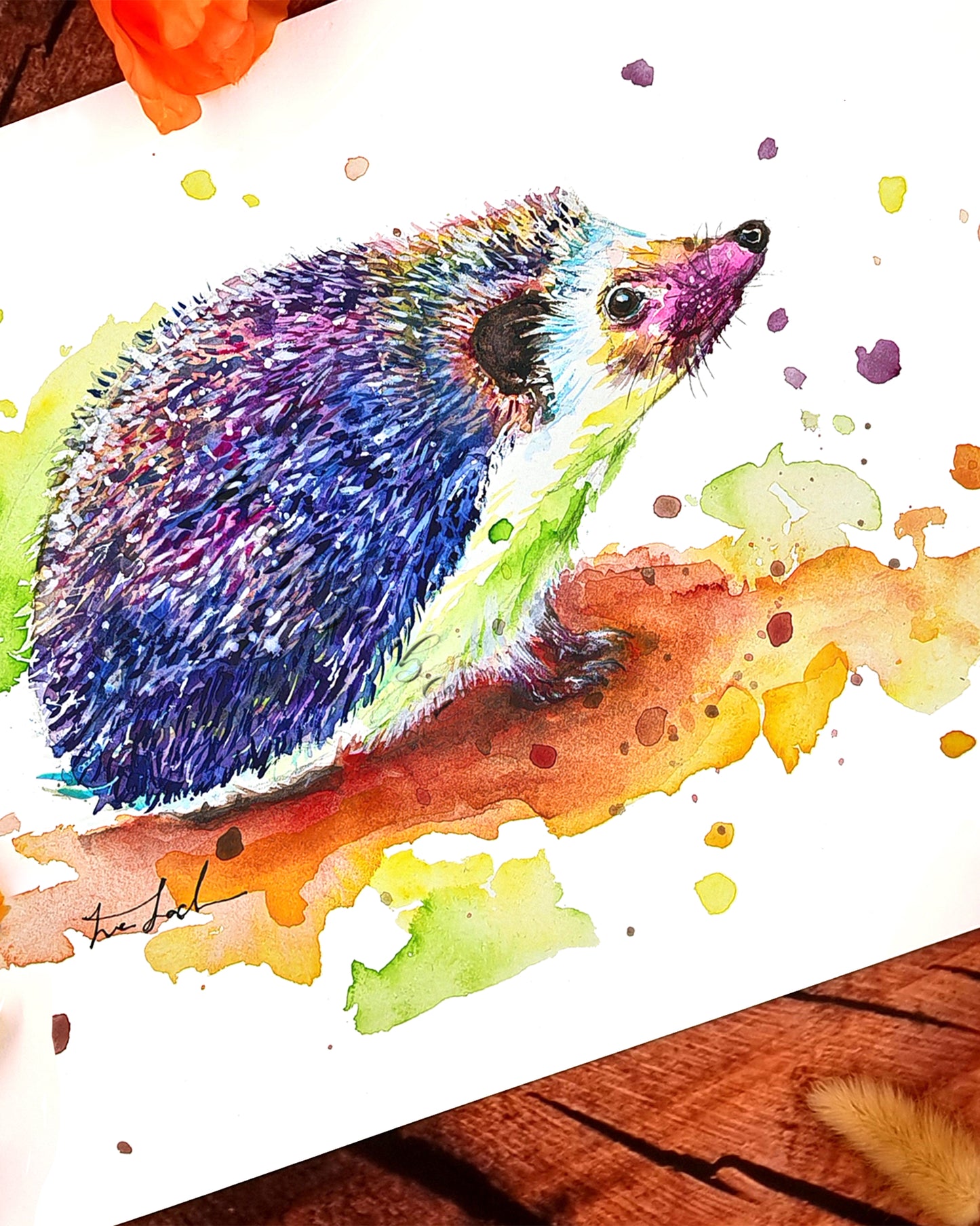 Bunte Igel in Aquarell -Bobby