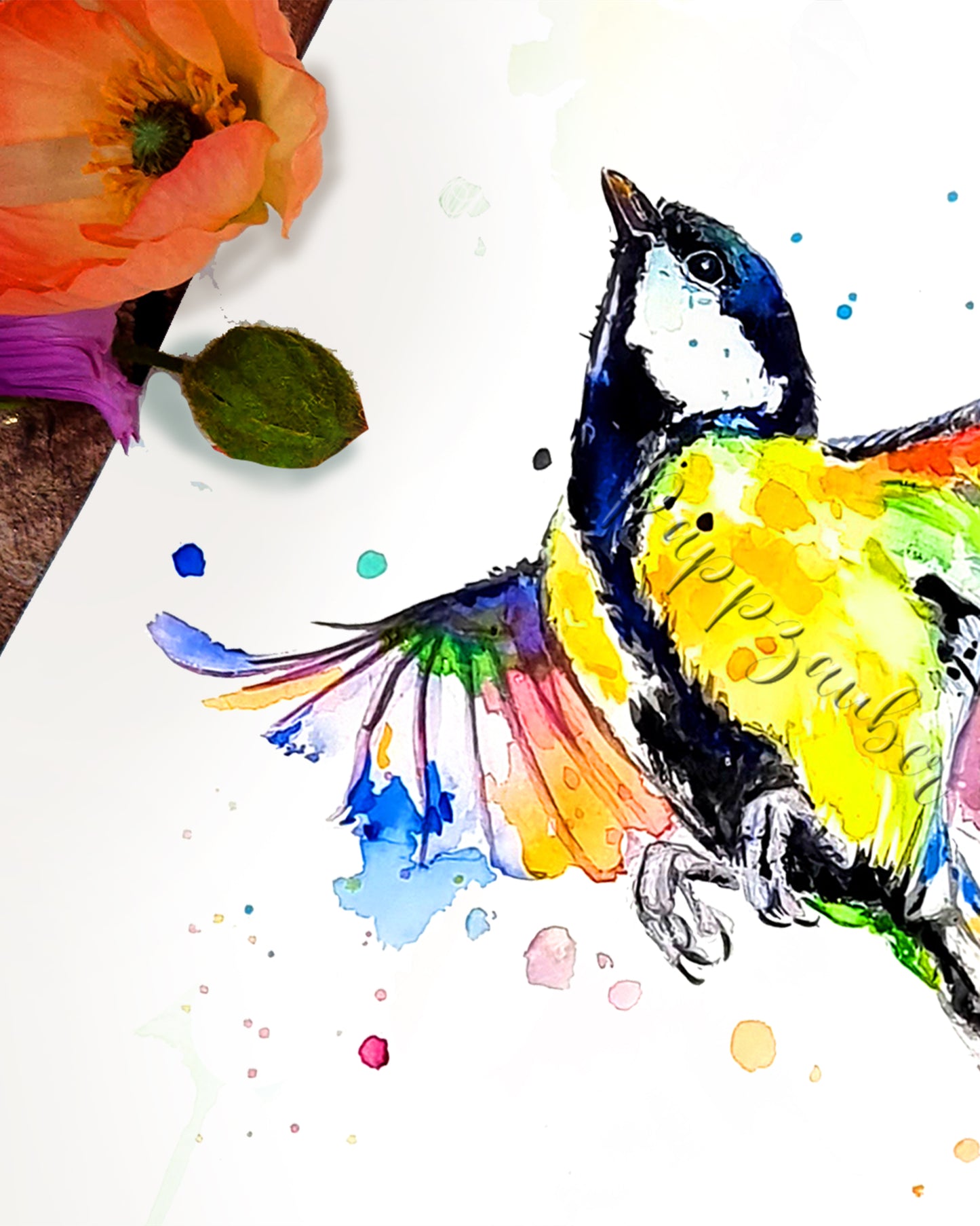 Bunte Kohlmeise in Aquarell - Otilia