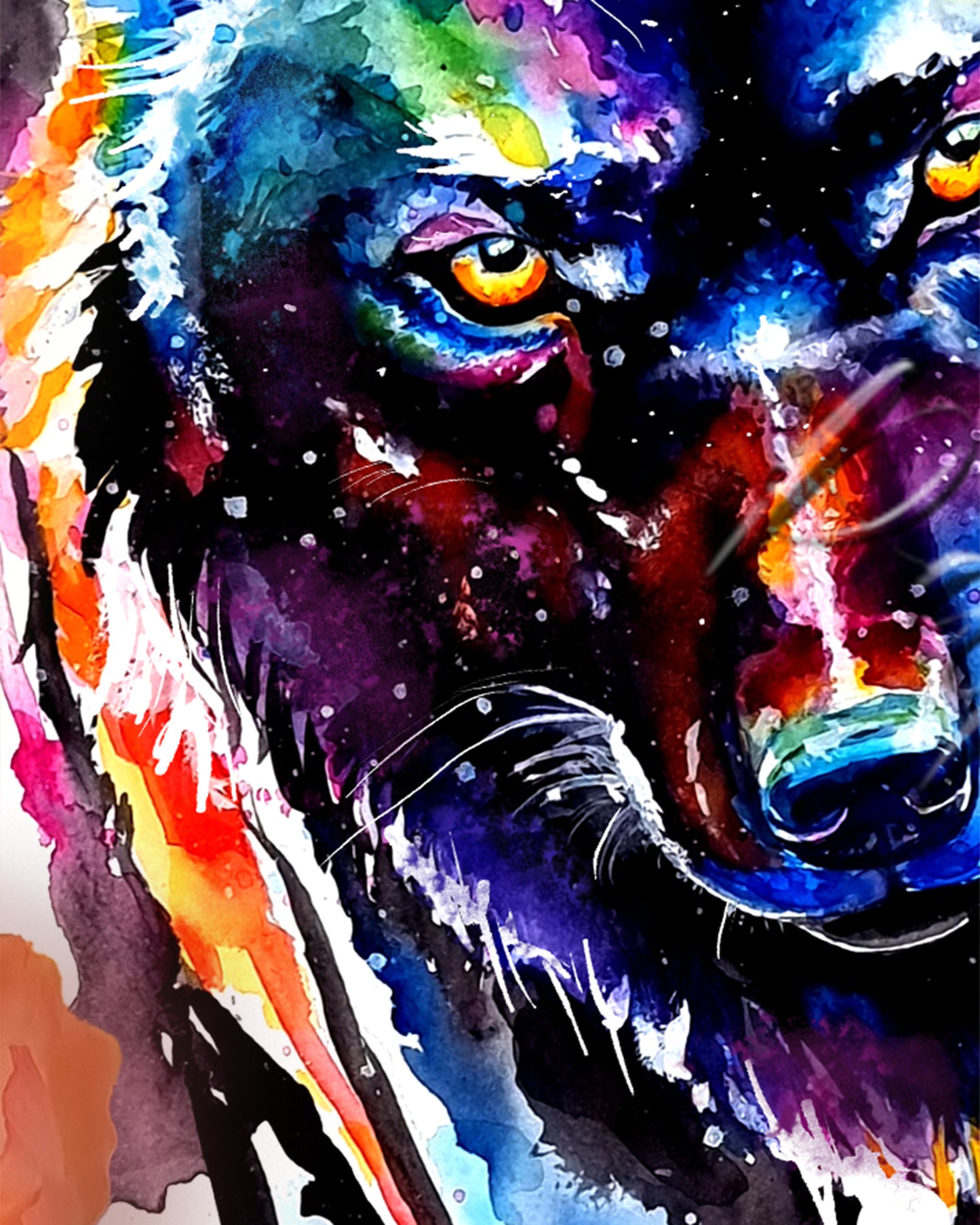 Aquarellbild von einem schwarzen Wolf - Yurek