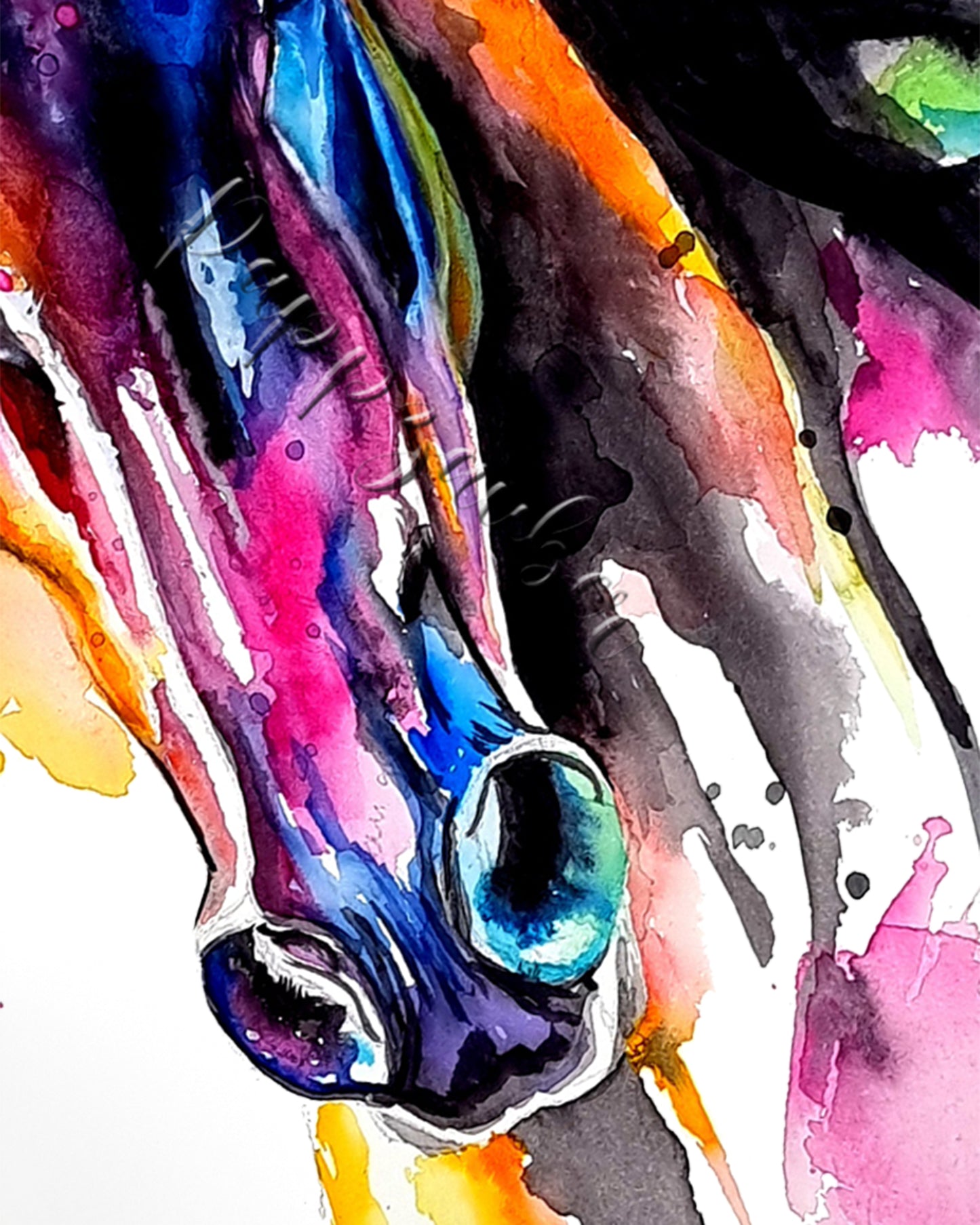 Schwarzes Pferd in Aquarell - Farbenfroher Kunstdruck - Pferd Mystery