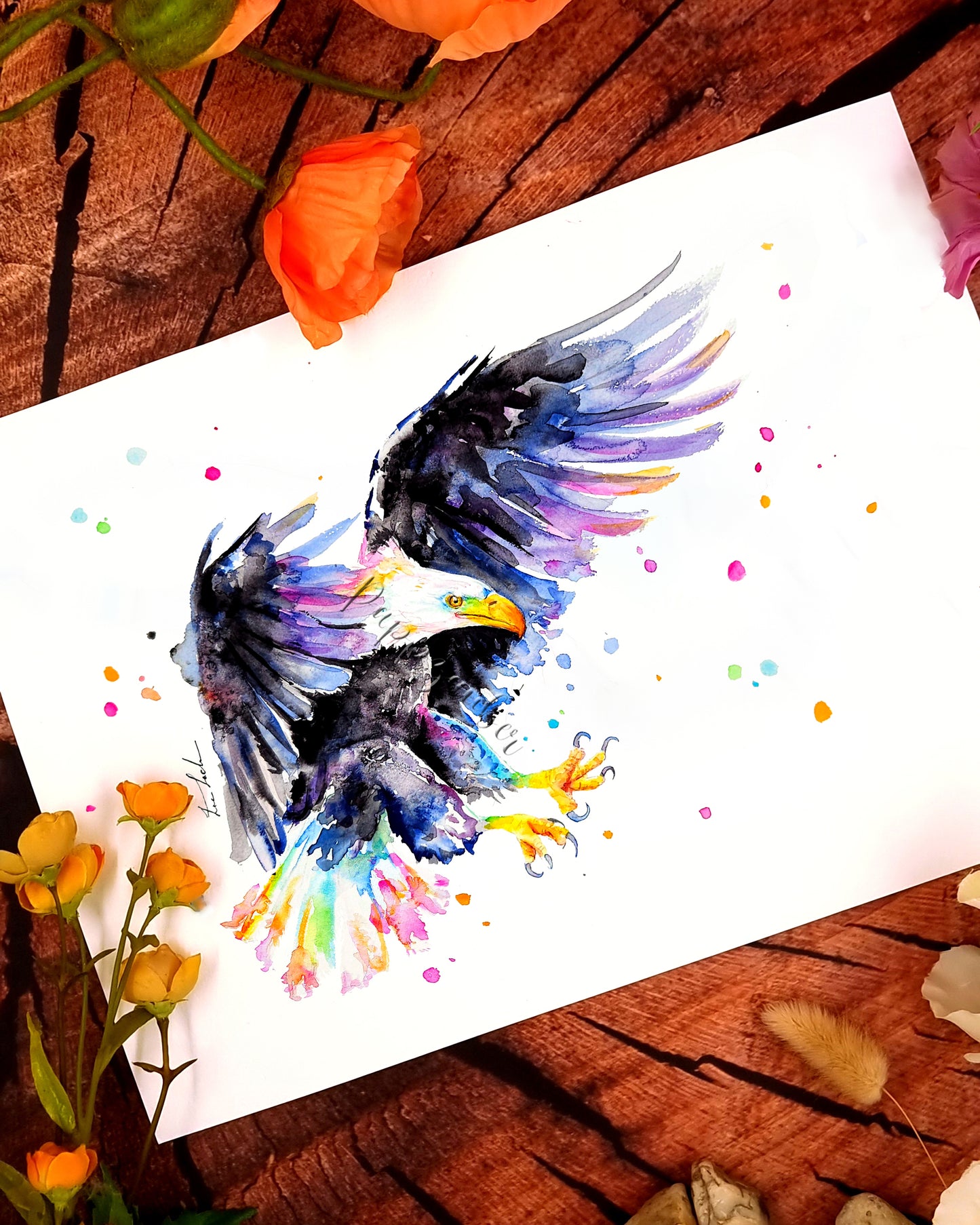 Bunter Weißkopfseeadler in Aquarell - Farbenfroher Kunstdruck - Weißkopfseeadler Aquila