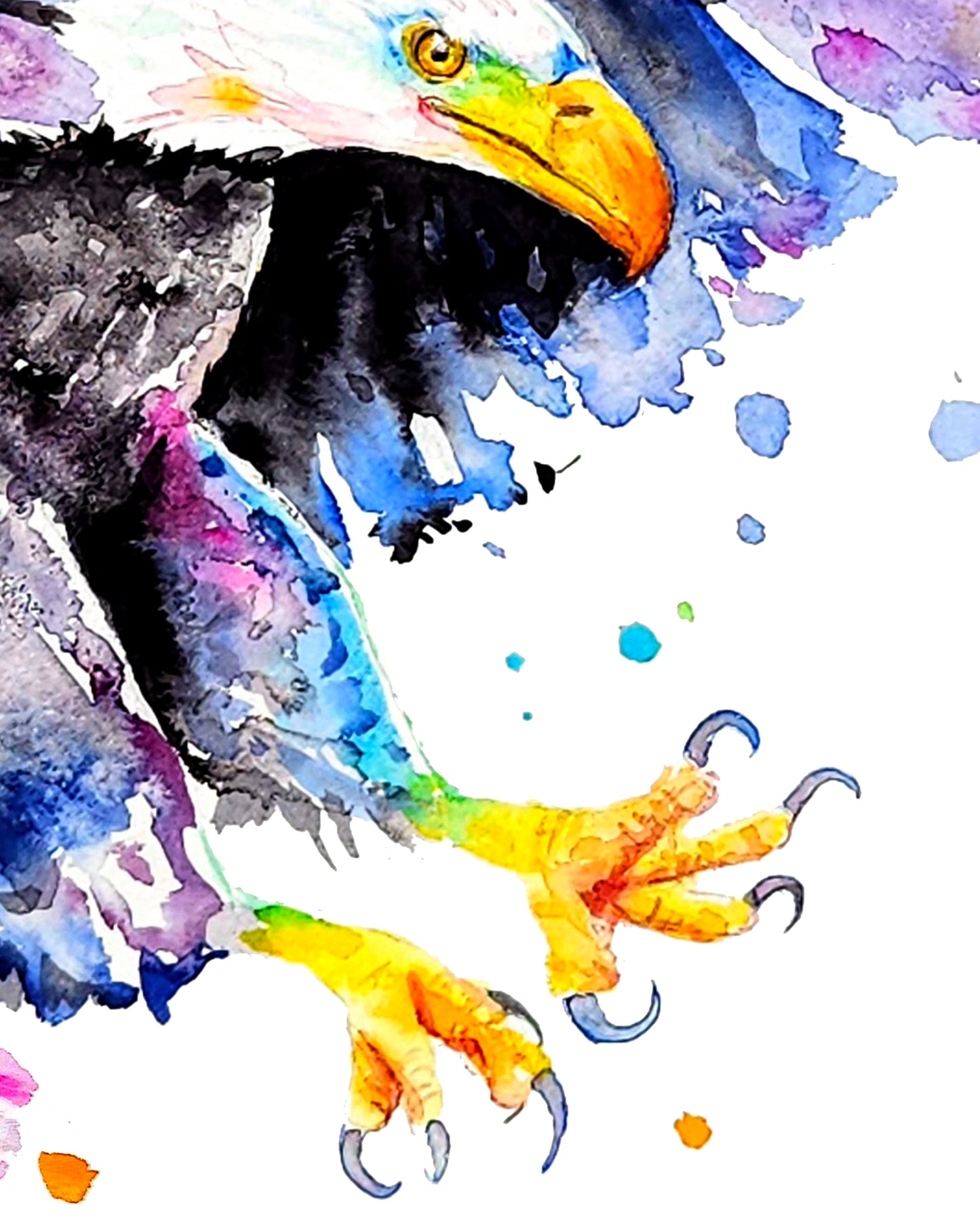 Bunter Weißkopfseeadler in Aquarell - Farbenfroher Kunstdruck - Weißkopfseeadler Aquila