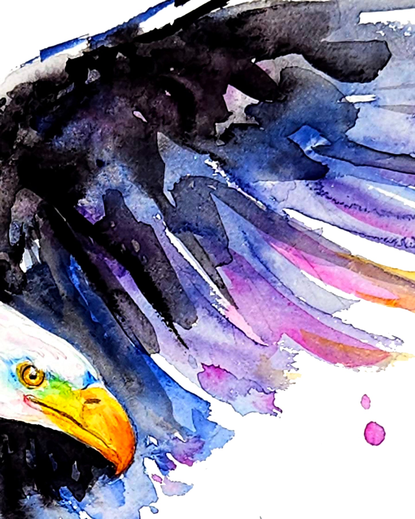 Bunter Weißkopfseeadler in Aquarell - Farbenfroher Kunstdruck - Weißkopfseeadler Aquila