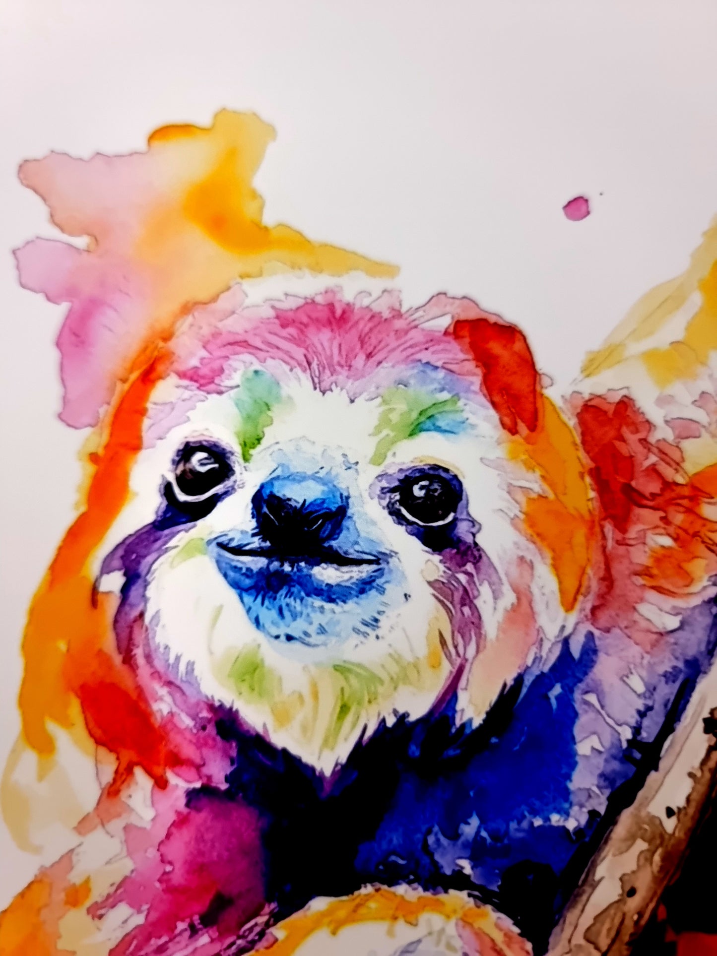 Faultier in Aquarell - Kunstdruck - Willi