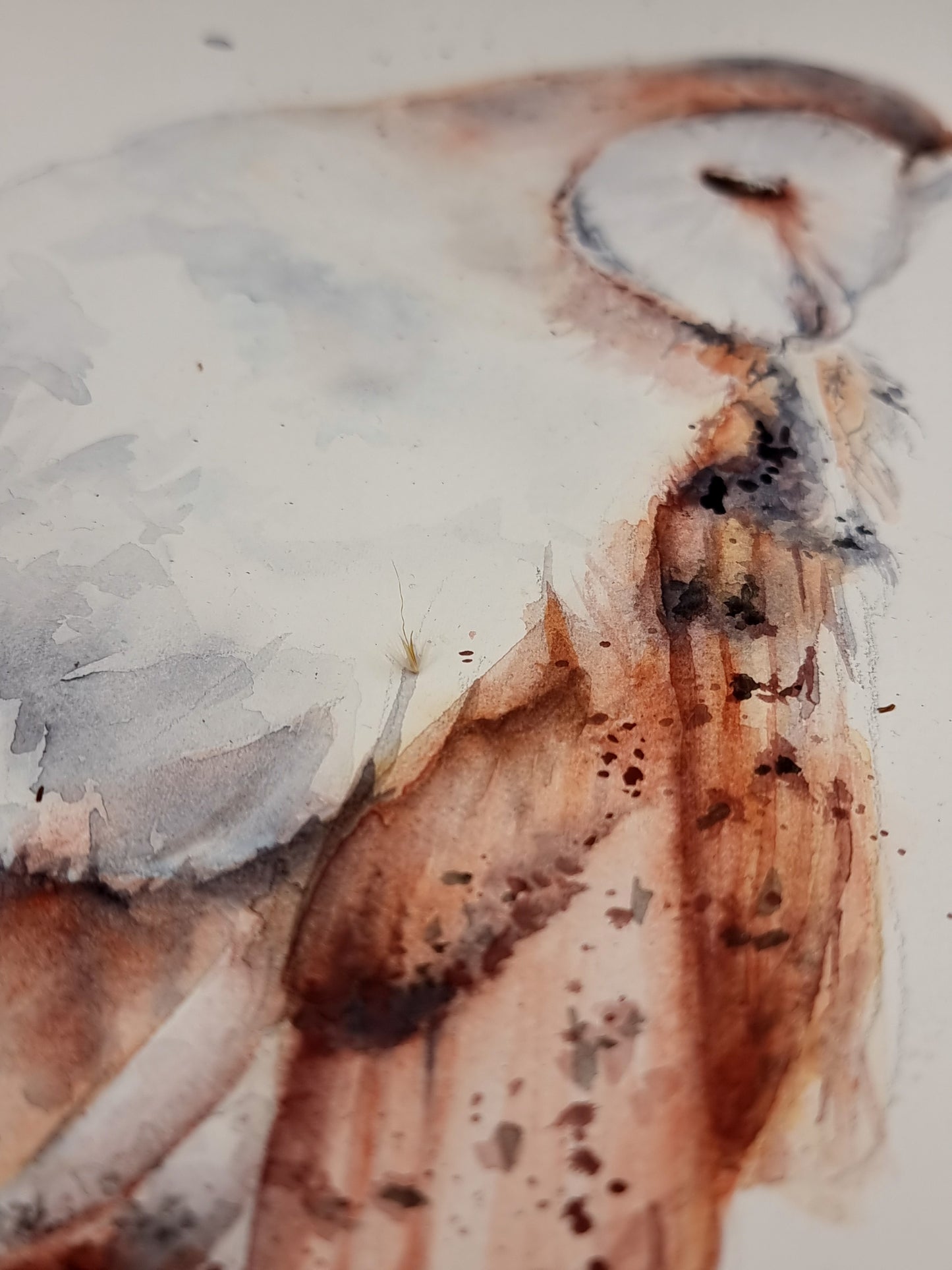 Schleiereule in Auqarell - zartes Gemälde als Kunstdruck - Eule Juna