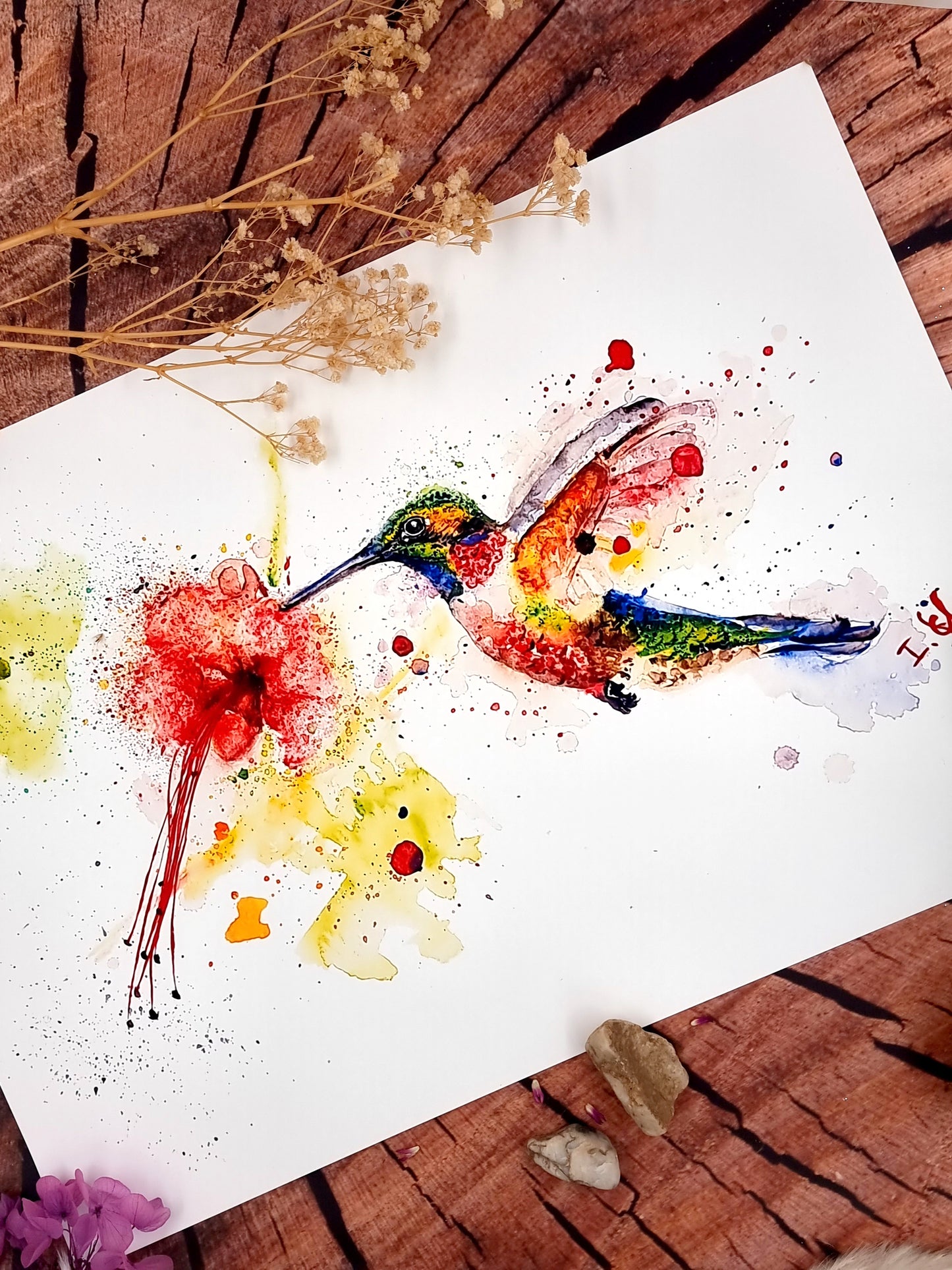 Farbenfroher Kolibri in Aquarell - Kunstdruck - Kolibri Tilia