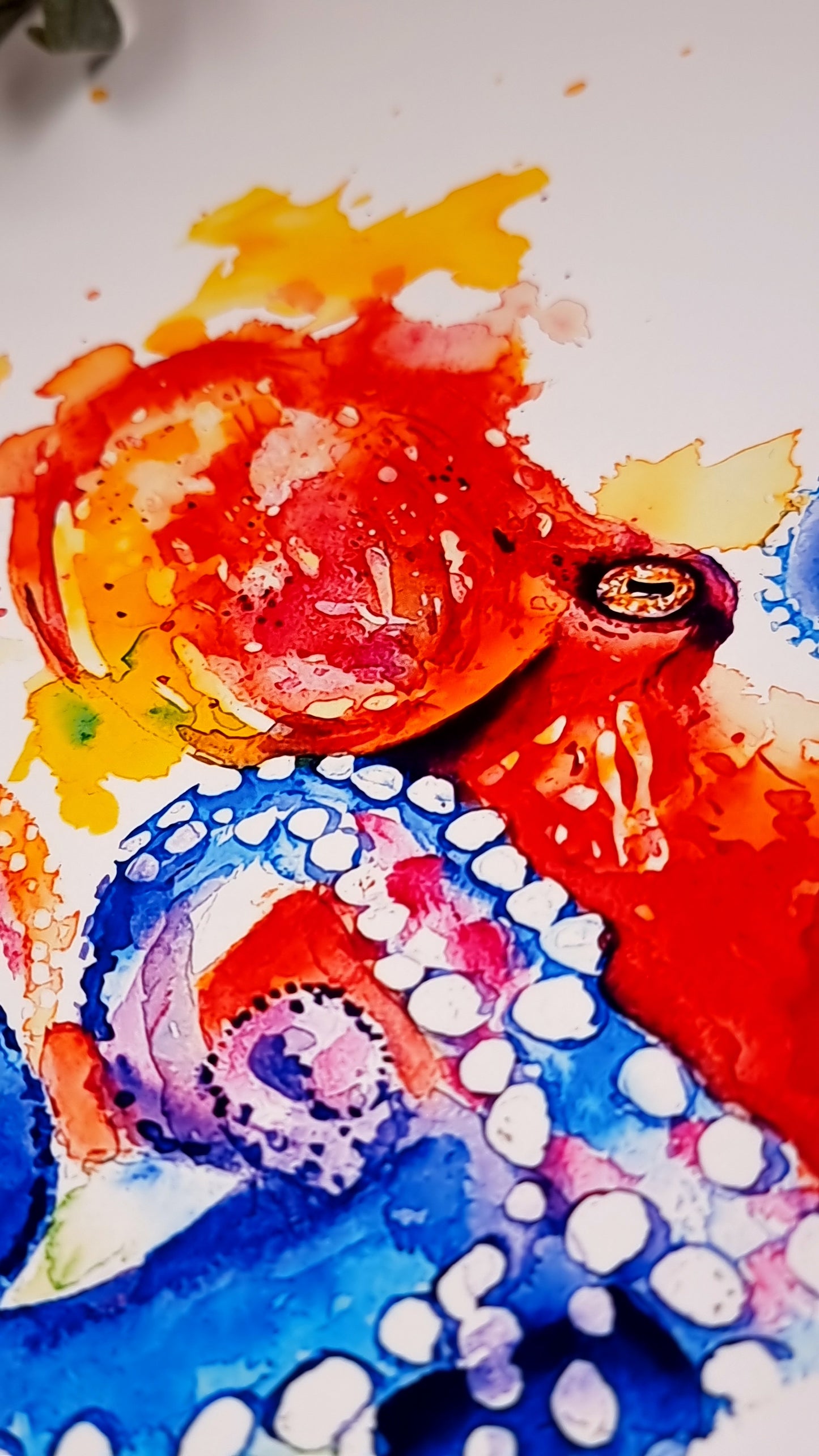 Oktopus in Aquarell - Kunstdruck - Paul