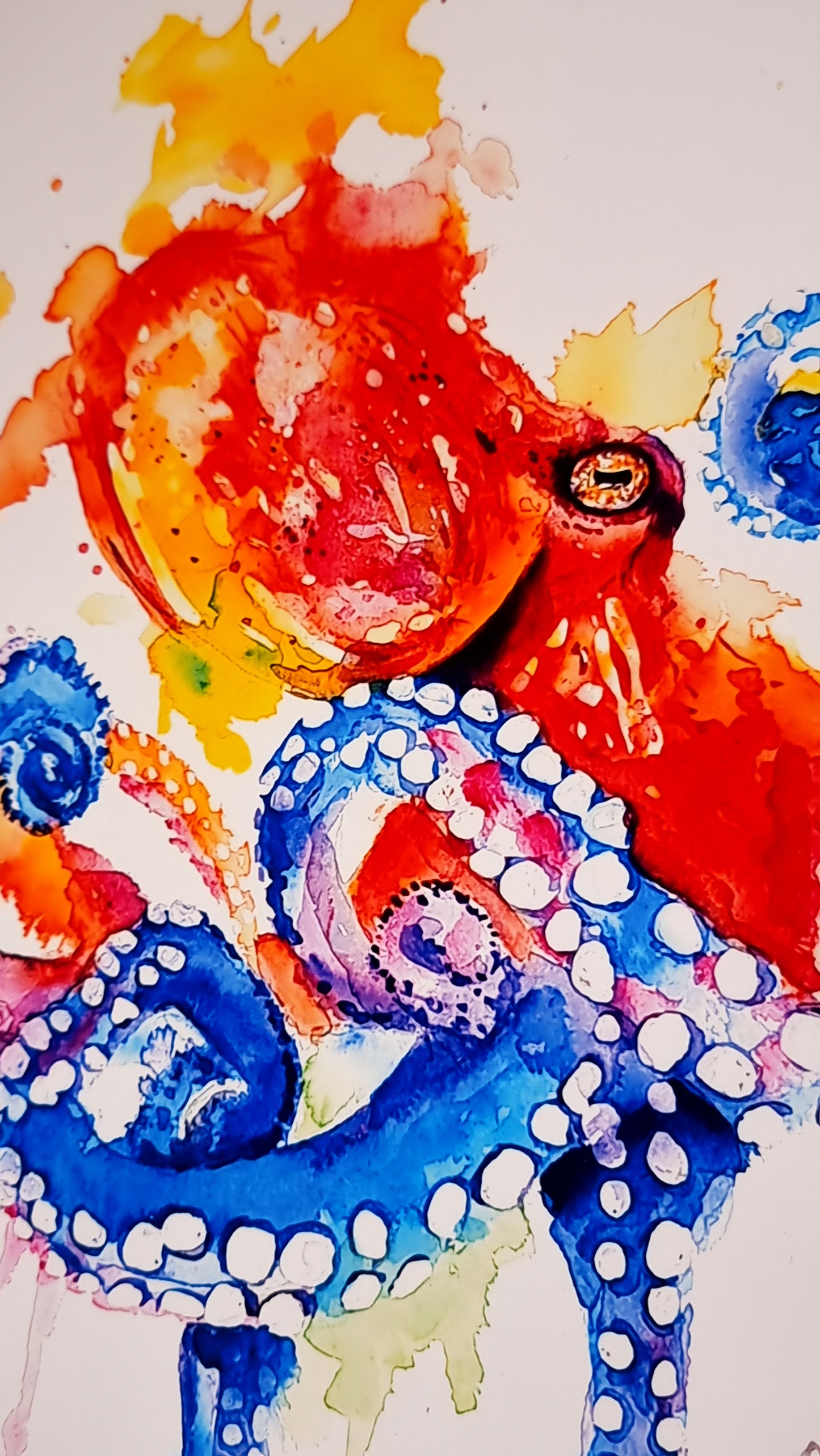 Oktopus in Aquarell - Kunstdruck - Paul