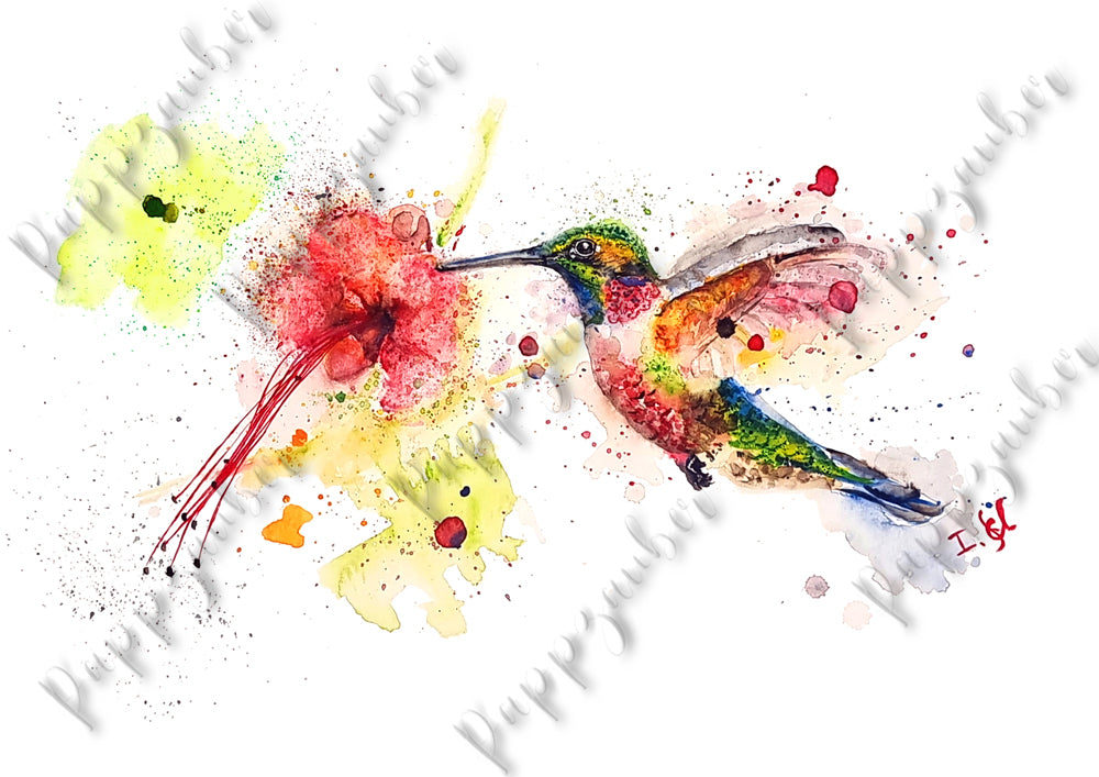 Farbenfroher Kolibri in Aquarell - Kunstdruck - Kolibri Tilia