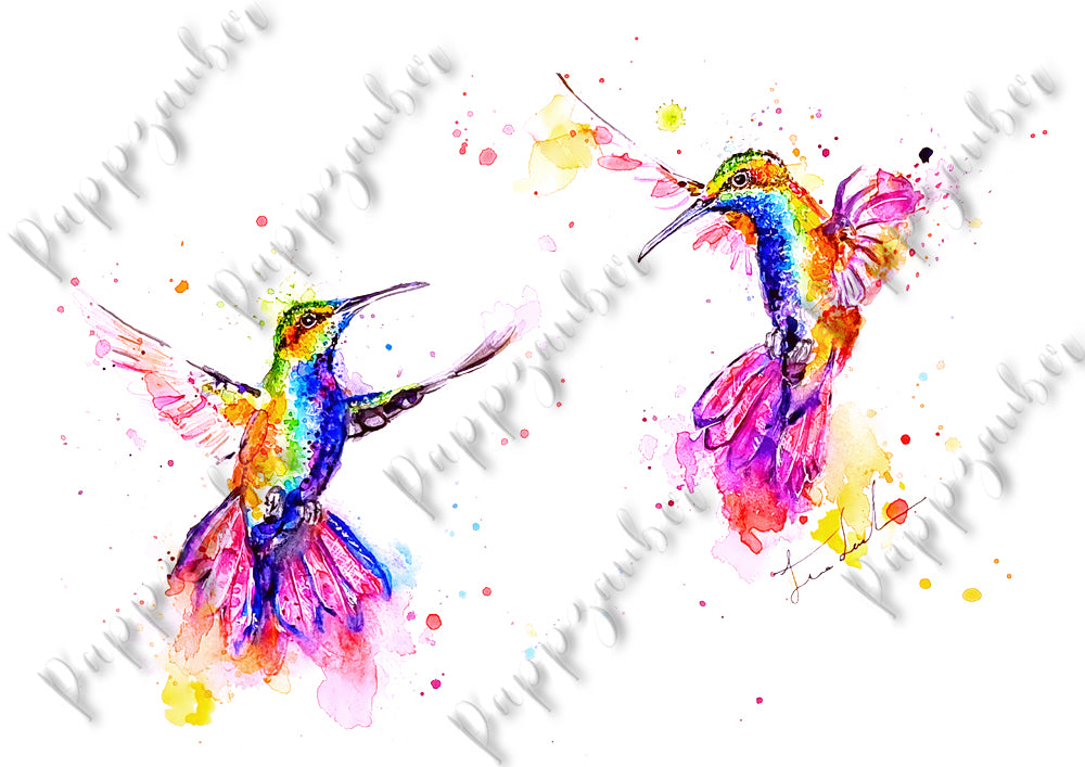 Zwei Kolibris in Aquarell - Kunstdruck - Zwei Liebende