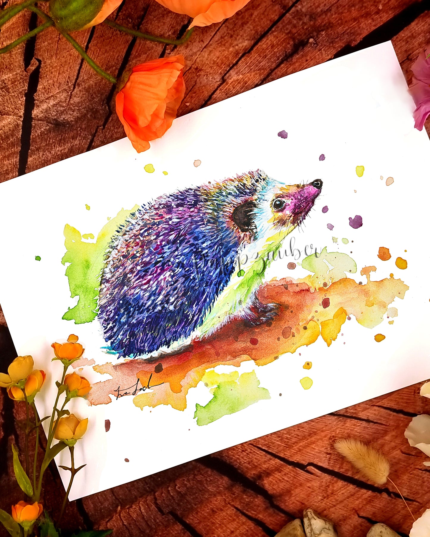 Bunte Igel in Aquarell -Bobby