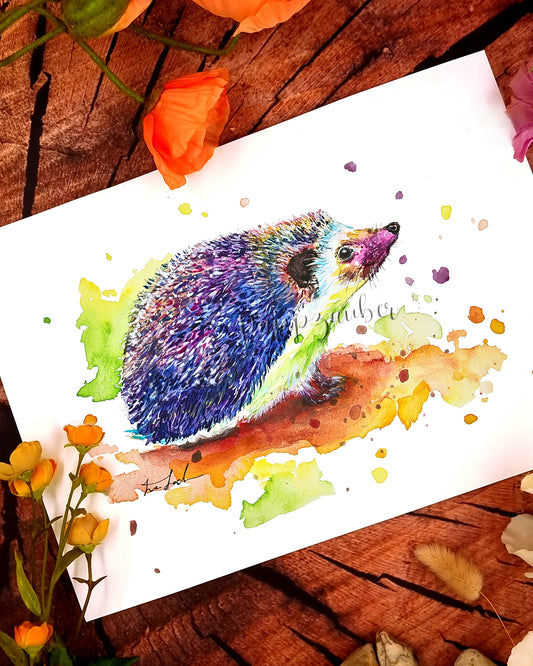 Bunte Igel in Aquarell -Bobby
