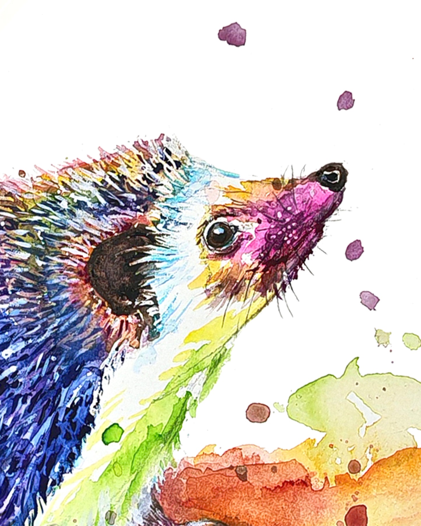 Bunte Igel in Aquarell -Bobby