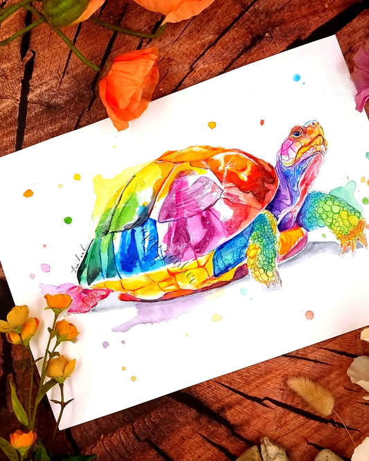 Aquarellbild von einer Landschildkröte - Sumali