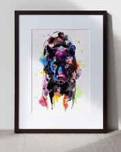 Lade das Bild in den Galerie-Viewer, Bild von Panther
