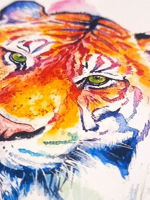 Tiger in Aquarell  - farbenfroher Kunstdruck