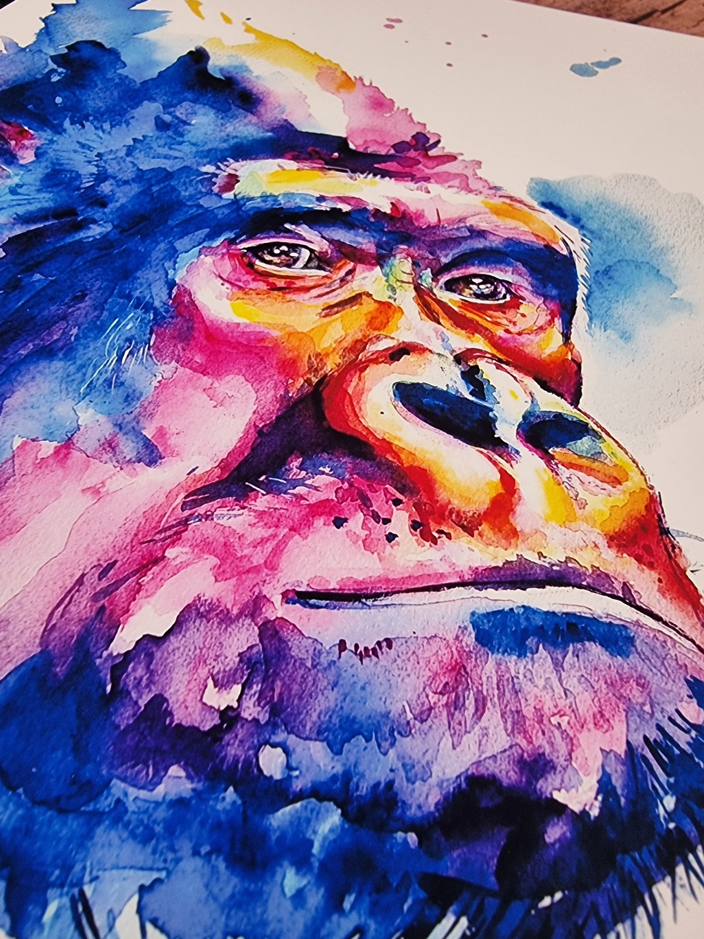 Gorilla in Aquarell - Kunstdruck - Gorilla Mortimer