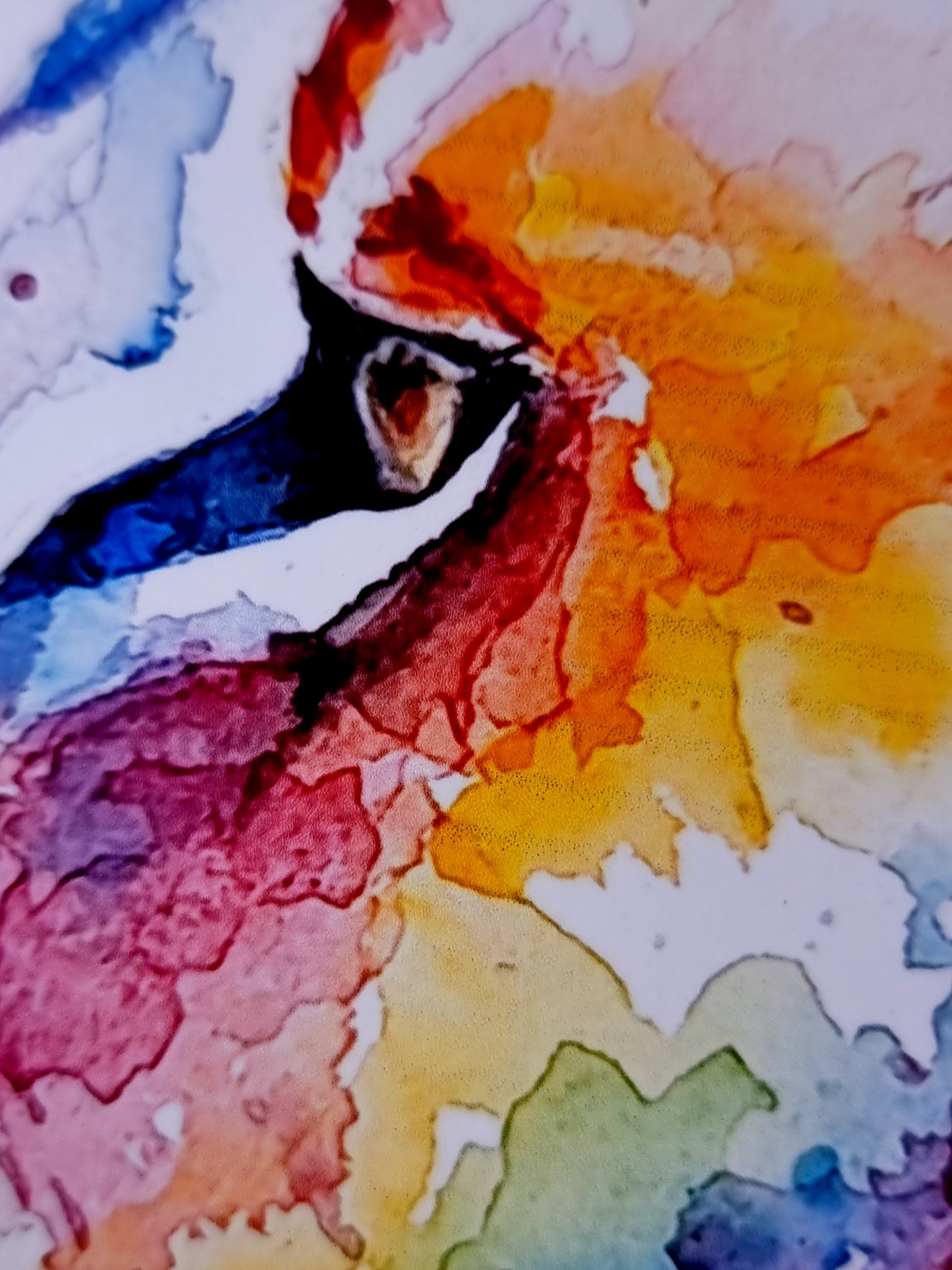 Bunter Löwe in Aquarell  - Farbenfroher Kunstdruck -Löwe Harvey