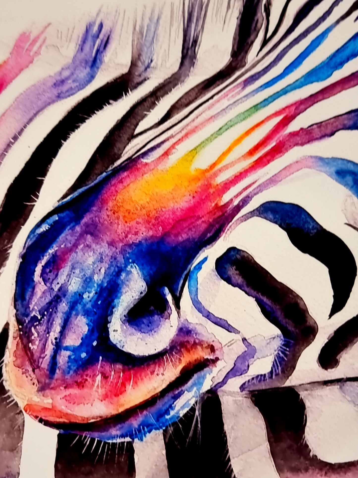 Zebra in Aquarell - Bunter Kunstdruck - Zebra Loni
