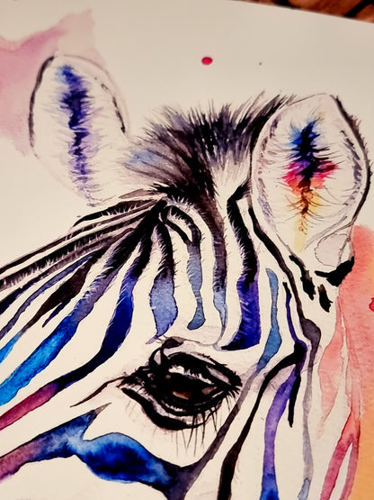 Zebra in Aquarell - Bunter Kunstdruck - Zebra Loni