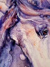 Lade das Bild in den Galerie-Viewer, Pferdeportrait in Aquarell - Kunstdruck - Ria
