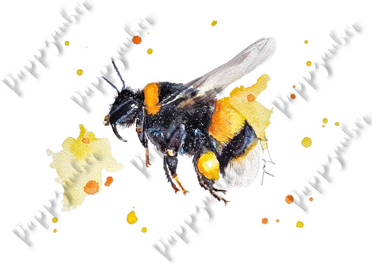 Biene in Aquarell - Kunstdruck - Miley