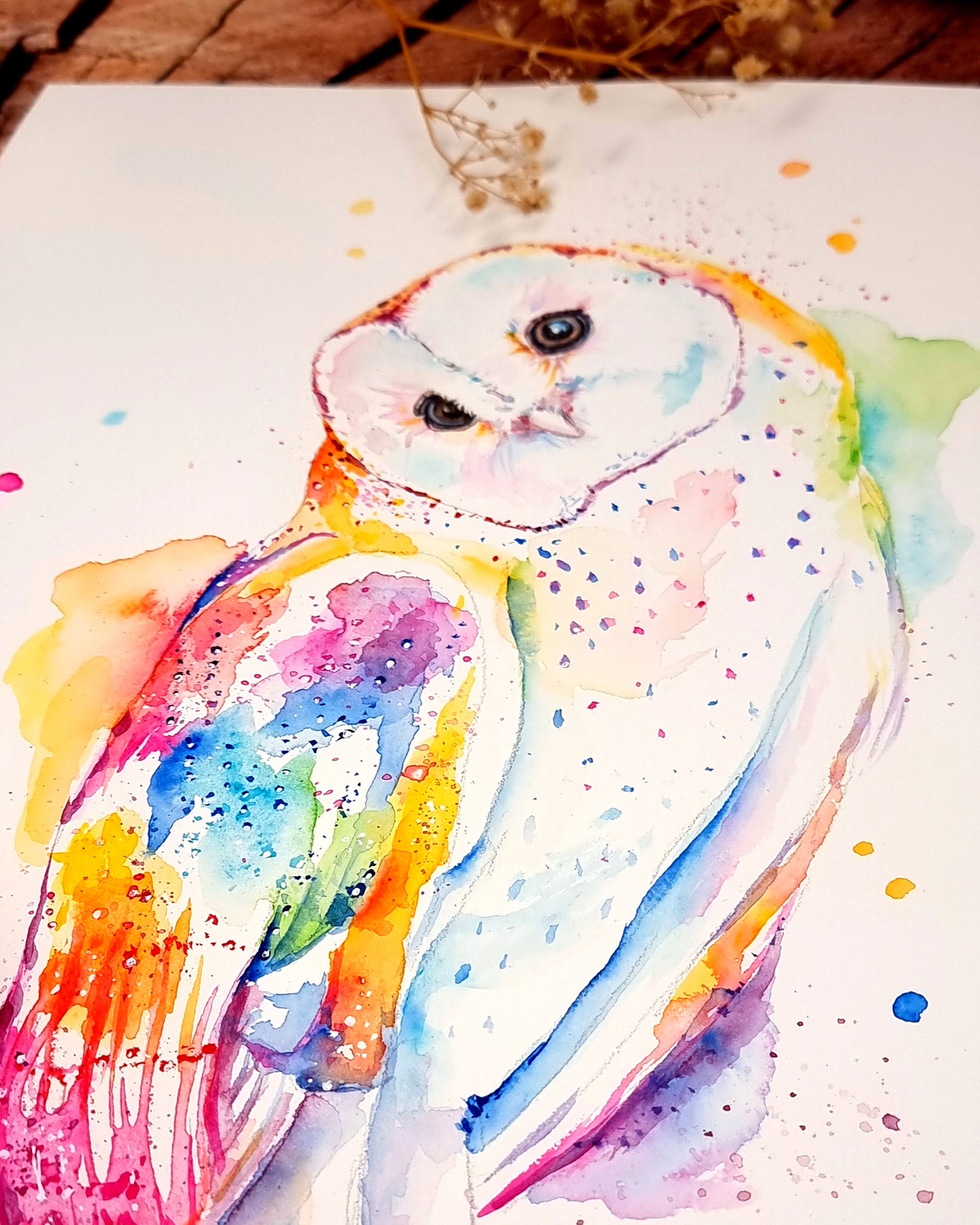 Schleiereule - farbenfroher Aquarell Kunstdruck -  Olina