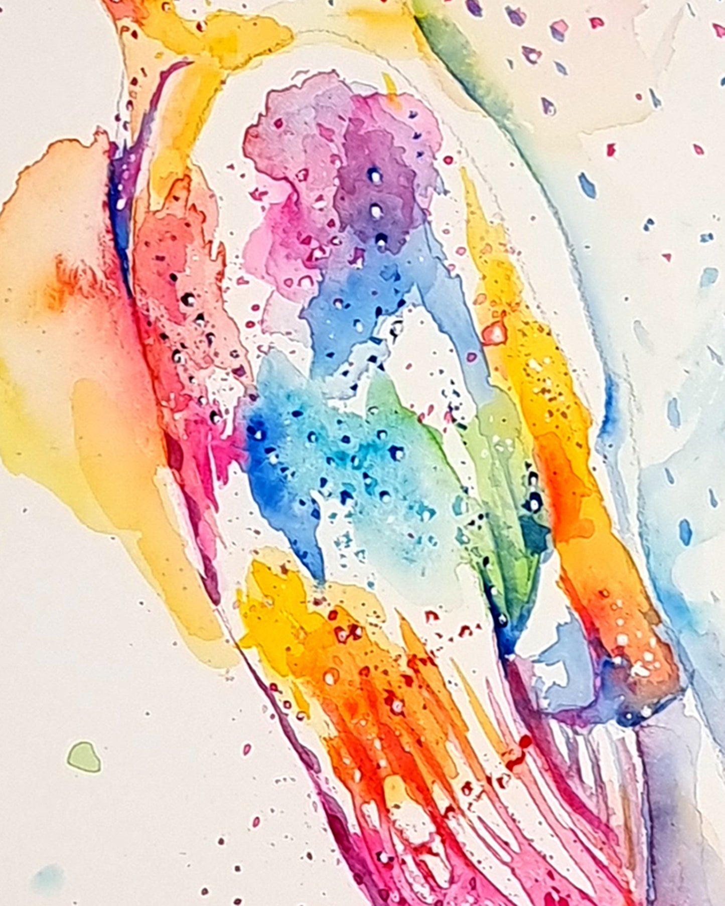 Schleiereule - farbenfroher Aquarell Kunstdruck -  Olina