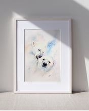 Lade das Bild in den Galerie-Viewer, Eisbären
