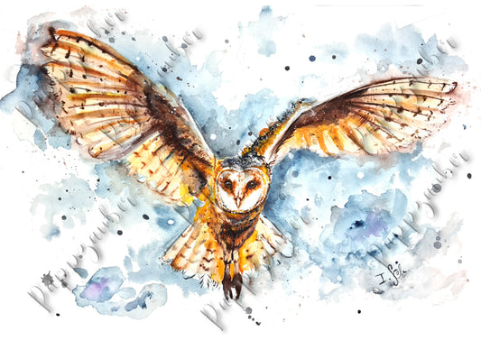 Fliegende Schleiereule in Aquarell - farbenfroher Kunstdruck - Eule Esa