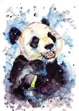 Lade das Bild in den Galerie-Viewer, Panda in Aquarell - Farbintensiver Kunstdruck - Panda Knut
