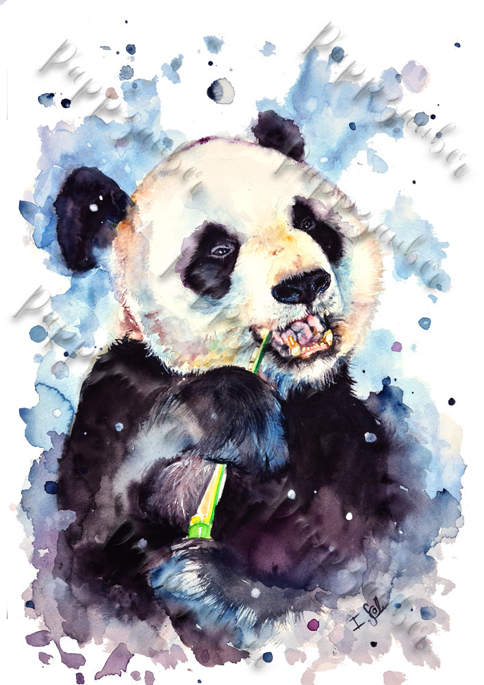 Panda in Aquarell - Farbintensiver Kunstdruck - Panda Knut