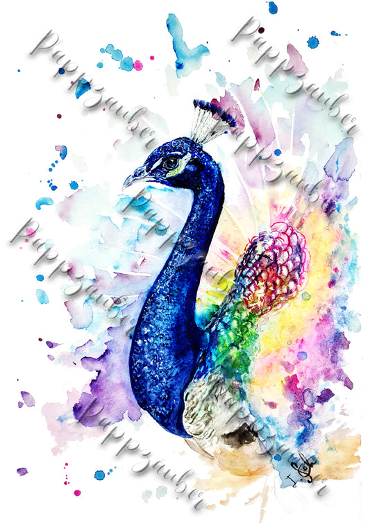 Pfau in Aquarell - farbenfroher Kunstdruck - Pfau Liam