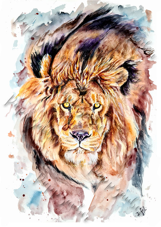 Löwe in Aquarell - Kunstdruck von Löwe Marek