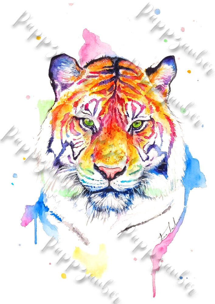 Tiger in Aquarell  - farbenfroher Kunstdruck
