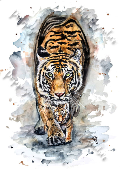 Tiger in Aquarell - Mutter und Kind als Kunstdruck  - Meva und Jorit