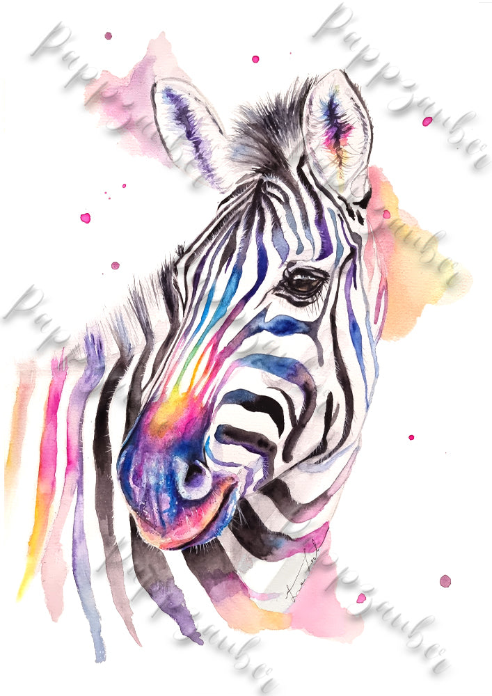 Zebra in Aquarell - Bunter Kunstdruck - Zebra Loni